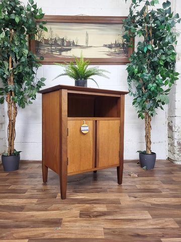 Vintage Mid-Century Carsons Teak 2 Door Record Storage Cabinet Retro Danish MCM