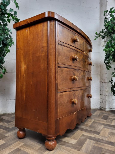 Beautiful Antique Victorian Large Mahogany & Walnut Chest Of Drawers Bow Fronted