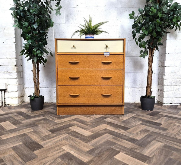 Vintage Mid-Century G Plan Brandon Oak & White Chest Of 4 Drawers